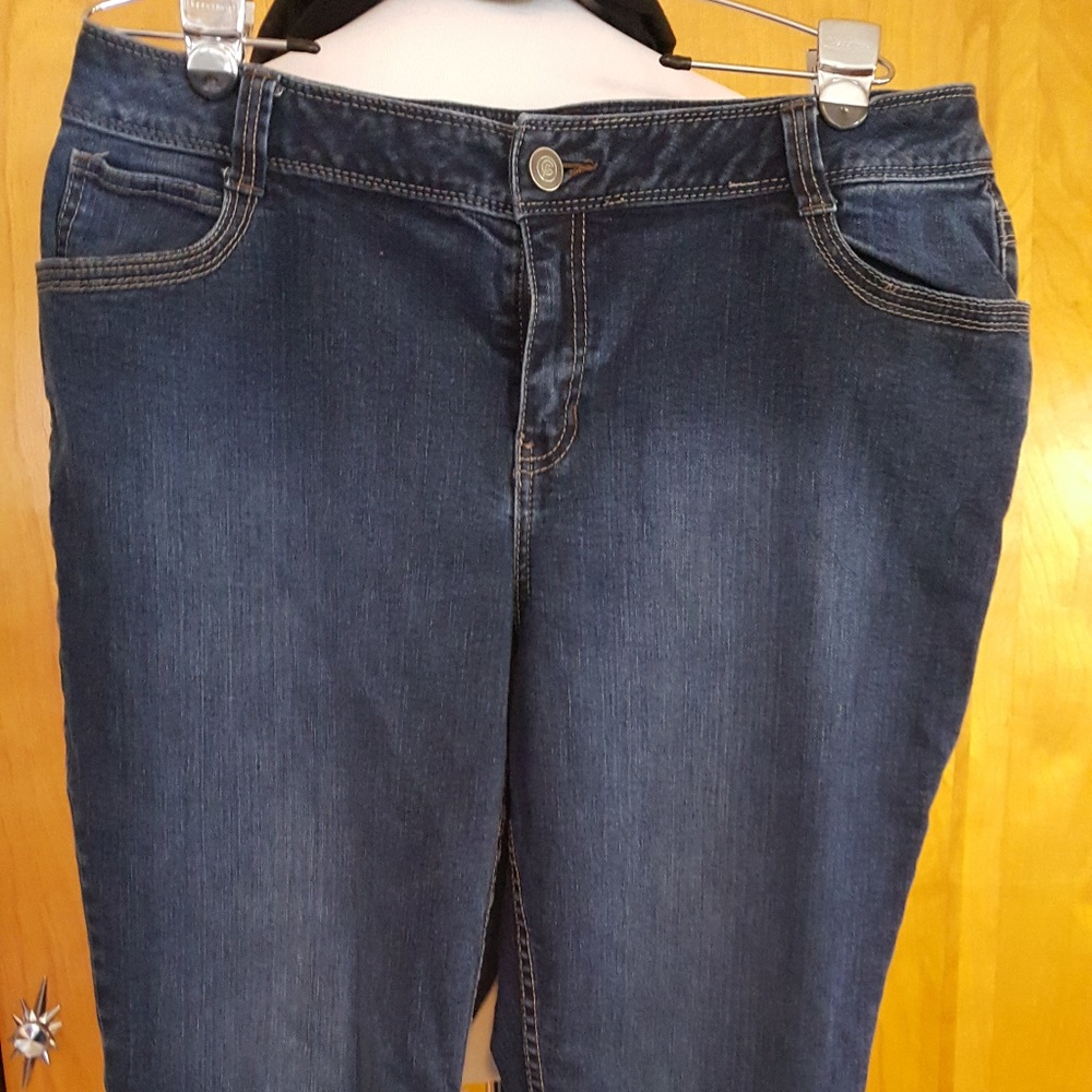 Lane Bryant Jeans - Ankle